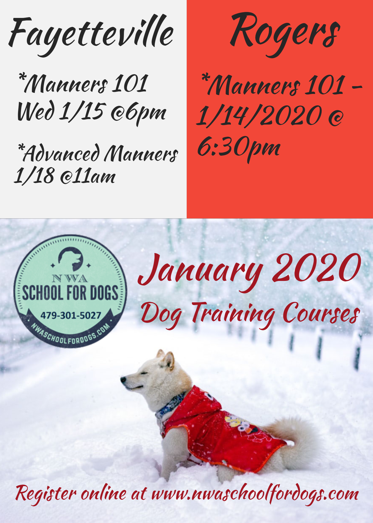 dog-training-group-classes-nwa-school-for-dogs