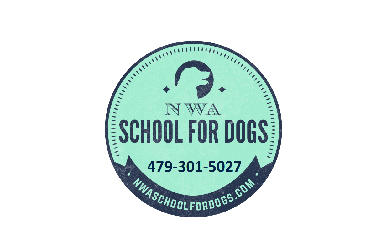 dog manners Archives - NWA School For Dogs