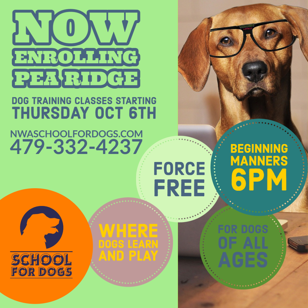 pea-ridge-1-school-for-dogs-479-332-4237